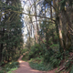 Illustration for article titled Went on a long walk yesterday, found an unused road